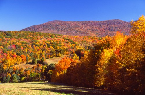 Vibrant autumn landscape with colorful trees and a mountain under a clear blue sky.