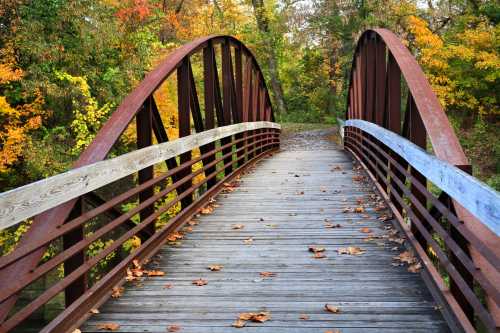 A wooden bridge with metal arches spans a path surrounded by colorful autumn foliage and fallen leaves.