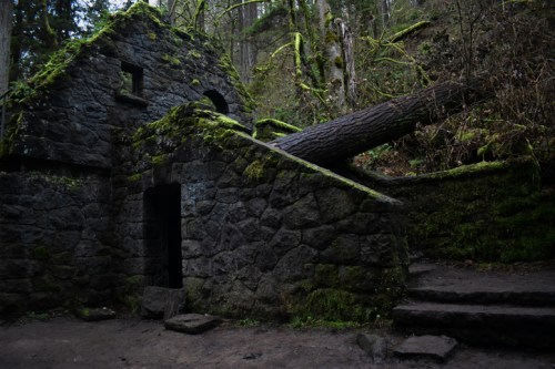 A moss-covered stone structure in a forest, with a fallen tree resting against it and steps leading up.