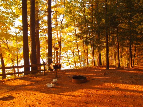 A serene forest scene with autumn foliage, a fire pit, and a view of a lake in the background.