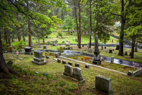 A serene cemetery scene with gravestones, surrounded by lush trees and greenery, under a cloudy sky.