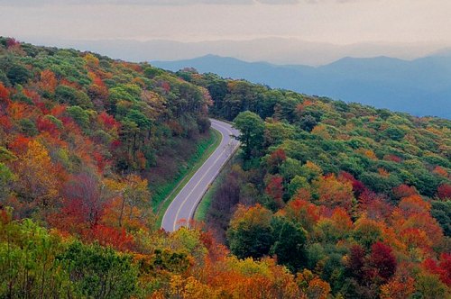 Winding road through vibrant autumn foliage with mountains in the background under a cloudy sky.