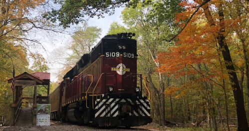 A red and black train passing through a forest with autumn foliage and a small station nearby.