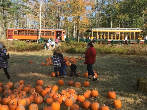 A pumpkin patch with children picking pumpkins, surrounded by trees and vintage trains in the background.