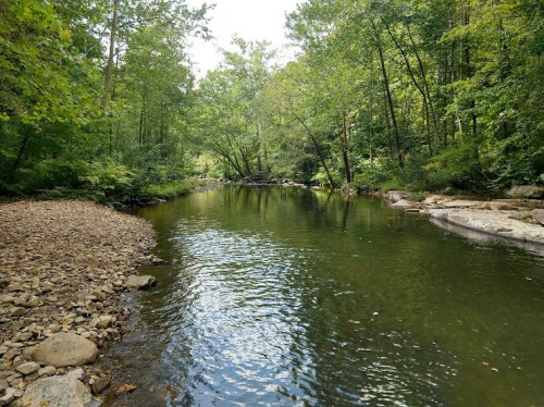 A serene river flows through a lush green forest, with rocky banks and trees reflecting in the calm water.