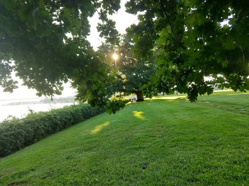 A sunlit park scene with lush green grass, trees, and a view of water in the background.