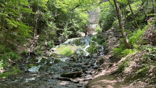 A serene waterfall cascades down rocky terrain, surrounded by lush green trees and foliage in a peaceful forest setting.