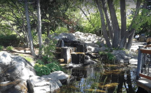 A serene garden scene featuring a small waterfall cascading over rocks into a tranquil pond surrounded by greenery.