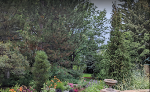Lush garden with colorful flowers, tall trees, and a stone birdbath under a cloudy sky.