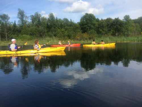 A group of people kayaking on a calm lake surrounded by greenery and blue skies.