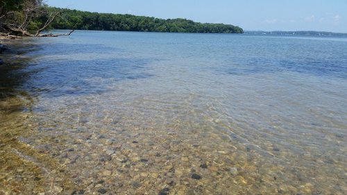 Clear water gently ripples over a rocky shoreline, with lush green trees lining the distant shore under a blue sky.