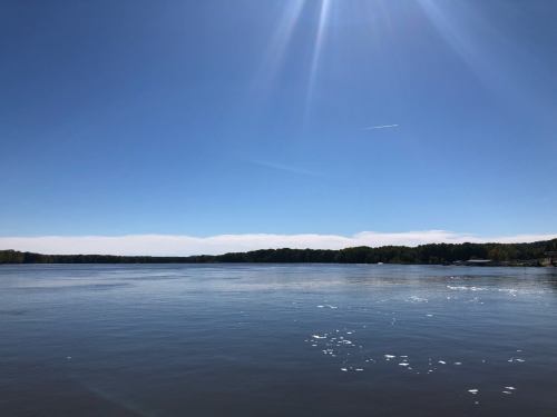 A serene lake under a clear blue sky, with gentle ripples on the water and distant trees lining the shore.