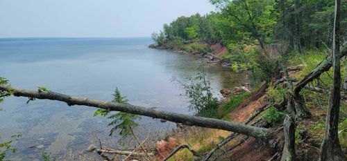 A serene lakeside view with trees and a gentle shoreline, reflecting calm waters under a clear sky.