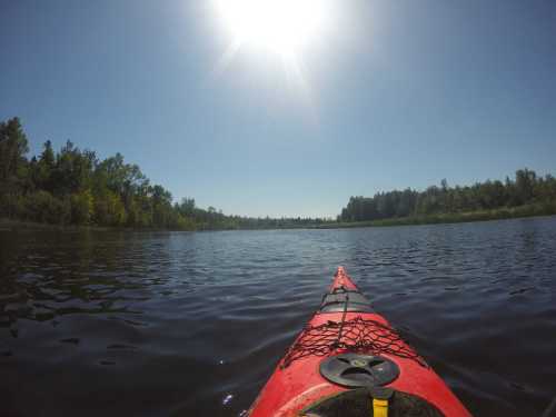 A red kayak on calm water, surrounded by trees under a bright sun in a clear blue sky.