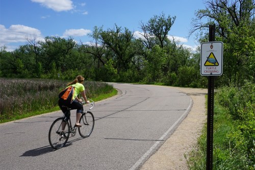 A cyclist rides along a winding path with a turtle crossing sign and lush greenery in the background.
