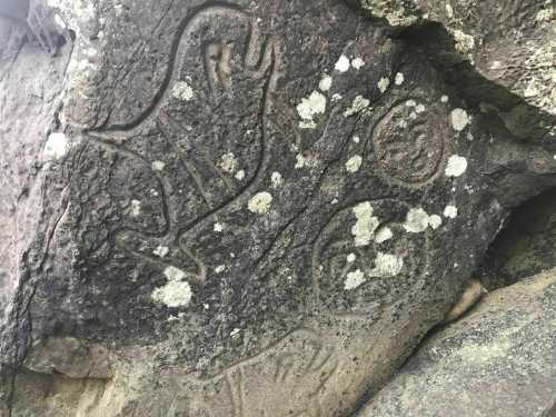 Petroglyphs carved into a rocky surface, depicting animal figures and circular designs, surrounded by lichen.