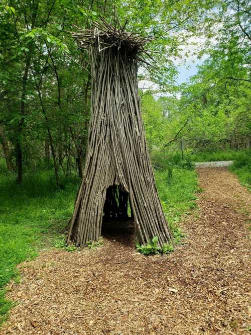 A tall, rustic structure made of sticks stands in a green, wooded area beside a gravel path.