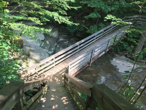 A wooden bridge spans a rocky creek, surrounded by lush green trees and foliage.