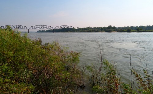 A calm river scene with lush greenery in the foreground and a bridge in the background under a clear sky.