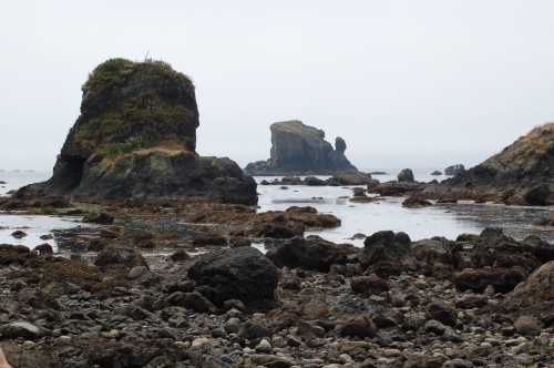 Rocky shoreline with two prominent rock formations and a misty, overcast sky in the background.