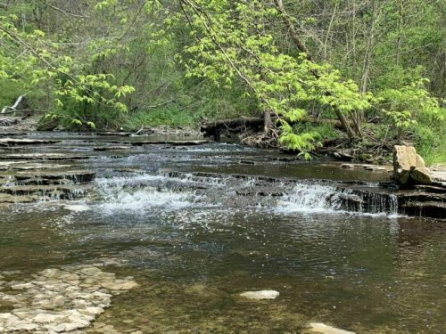 A serene stream flows over rocky ledges, surrounded by lush green trees and foliage in a peaceful natural setting.