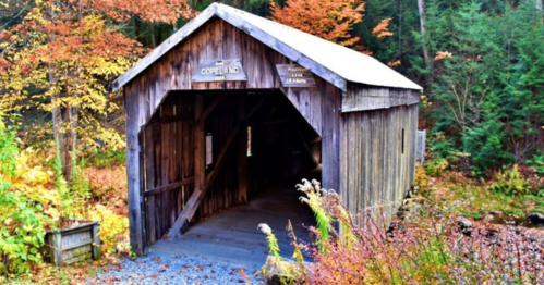 A rustic wooden covered bridge surrounded by autumn foliage and trees.