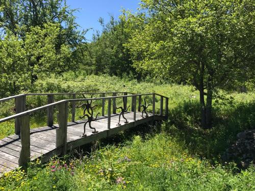 A wooden bridge with decorative railings spans a lush green area filled with trees and wildflowers under a clear blue sky.