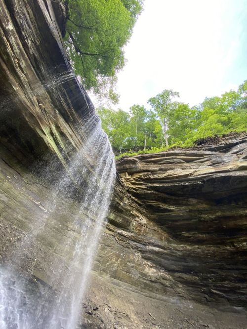 A waterfall cascades down rocky cliffs, surrounded by lush green trees and a bright sky above.