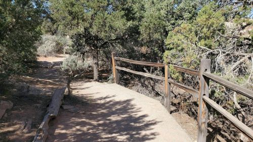 A dirt path with a wooden railing leads over a small bridge surrounded by trees and shrubs.