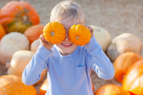 A smiling child holds two small pumpkins in front of their eyes, surrounded by larger pumpkins in a field.