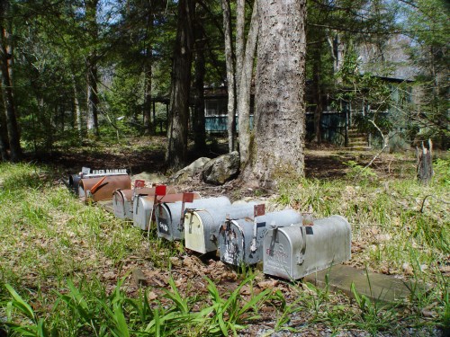 A row of rustic mailboxes lined up along a path in a wooded area, surrounded by greenery and trees.