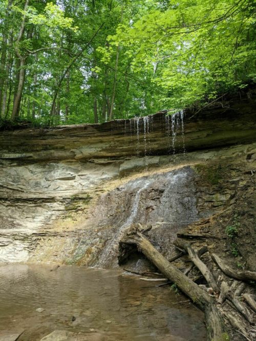 A serene waterfall cascading down a rocky cliff, surrounded by lush green trees and a calm pool below.