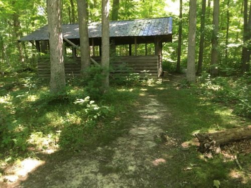 A rustic wooden shelter surrounded by trees, with a path leading through lush greenery.