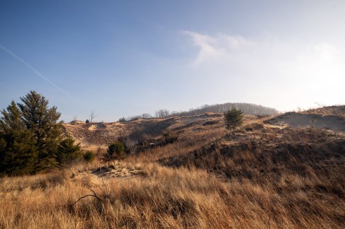 A serene landscape featuring rolling hills covered in tall grass and sparse trees under a clear blue sky.