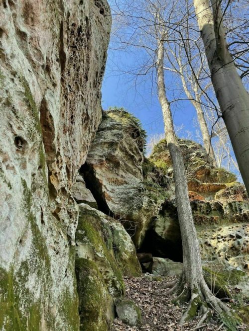 Rocky cliffside with moss-covered stones and bare trees against a clear blue sky.