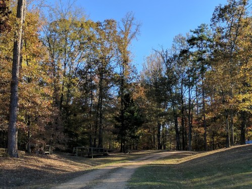 A dirt path winds through a forest with colorful autumn leaves under a clear blue sky.
