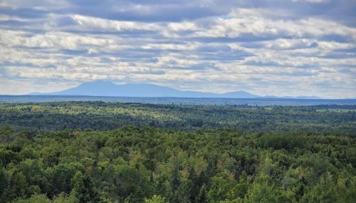 A panoramic view of lush green forests under a cloudy sky, with distant mountains on the horizon.