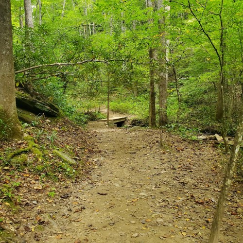 A dirt path winds through a lush green forest, with trees and rocks lining the trail.