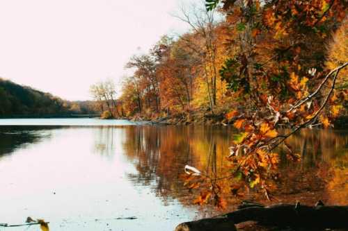 A serene lake surrounded by trees with vibrant autumn foliage reflecting on the water's surface.