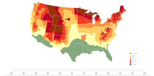 Map of the U.S. showing seasonal changes in vegetation color from August to November, with varying shades indicating growth levels.