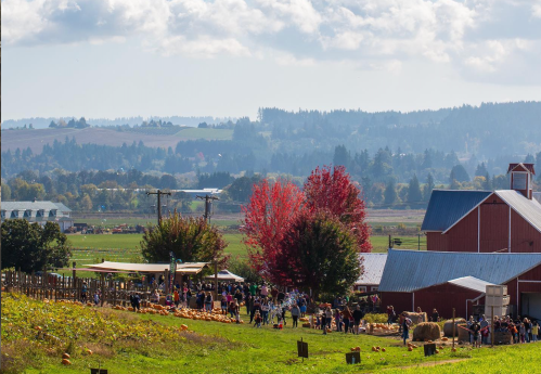 A vibrant farm scene with people picking pumpkins, colorful trees, and rolling hills under a bright sky.