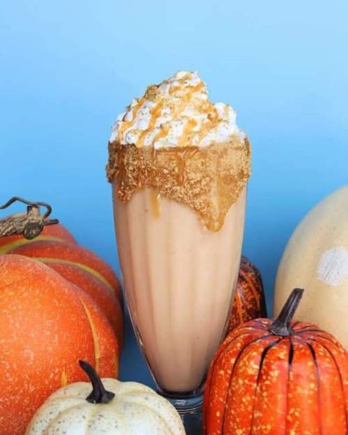 A creamy pumpkin-flavored drink topped with whipped cream and caramel, surrounded by decorative pumpkins.