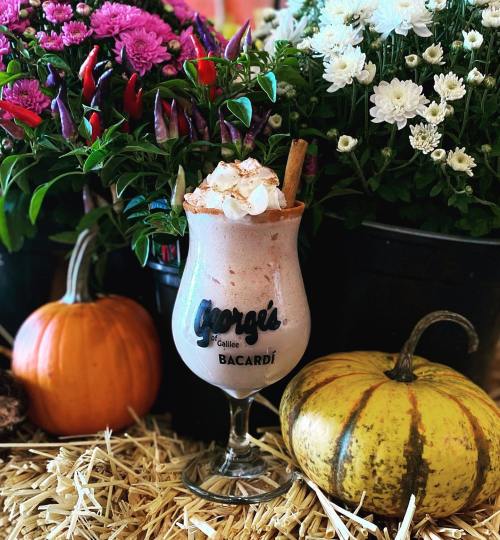A frosty cocktail in a glass with whipped cream, surrounded by pumpkins and vibrant flowers on a straw backdrop.