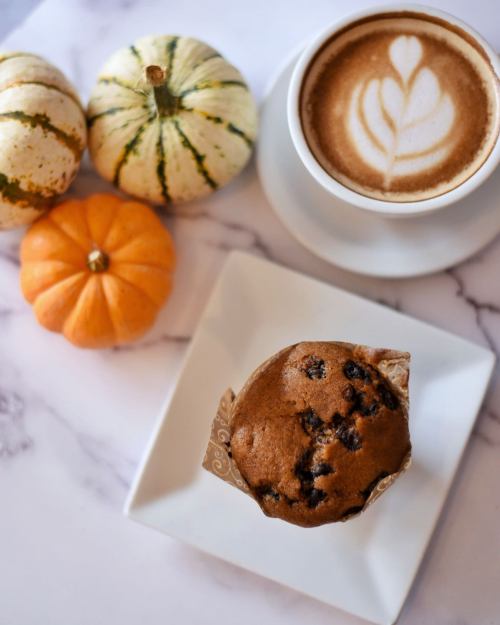 A chocolate chip muffin on a white plate, with a latte and decorative pumpkins in the background.