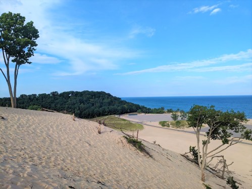 A sandy dune landscape with trees, overlooking a blue lake and a green forest under a clear sky.
