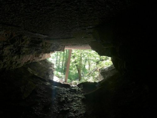View from inside a cave, looking out towards a bright, green forest with sunlight filtering through.