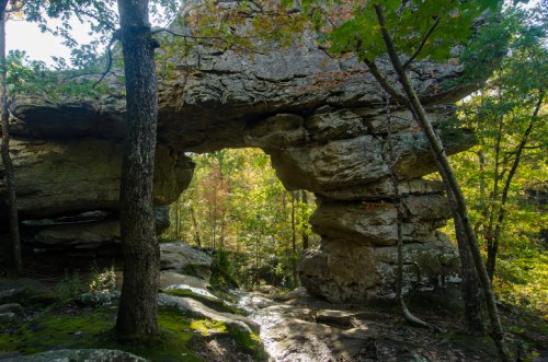 A natural stone arch surrounded by trees and vibrant autumn foliage in a forested area.