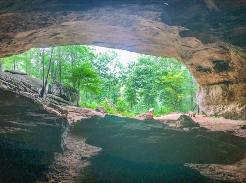 A view from inside a cave, showing lush greenery and rock formations outside the entrance.
