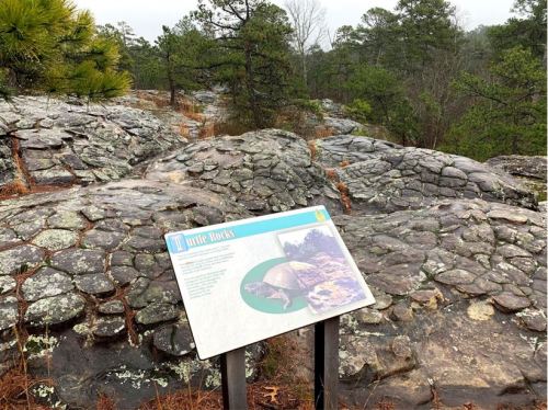 A rocky landscape with a sign about turtle rocks, surrounded by trees and a cloudy sky.