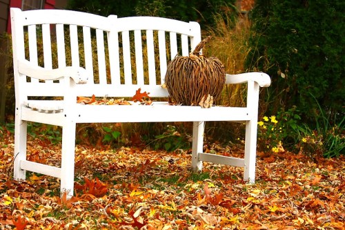 A white bench surrounded by colorful autumn leaves, with a decorative pumpkin resting on it.